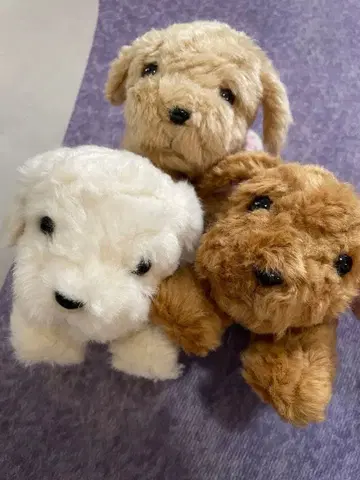 3마리 세트 단풍나무 아이 골든 리트리버 강아지 봉제 인형 아루마도