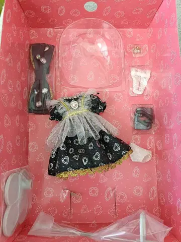 비쥬 브릴리앙 아웃핏 브라이스