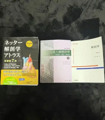 인간 해부학 교재 총정리 세트