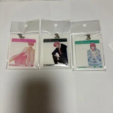 타몬군 지금 어느 쪽 돈키호테 SNS풍 아크릴 키링 3종