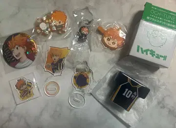 하이큐!! 히나타 쇼요 묶음 판매 아크릴 스탠드 앞머리 클립 메지루시 참