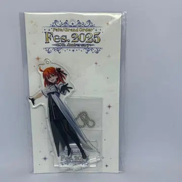 Fate FGO 여자 주인공 Fes2025 메인 비주얼 아크릴 마스코트
