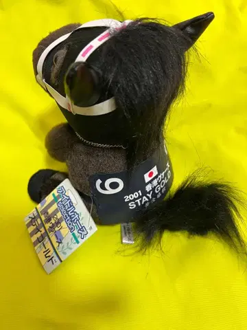 아이돌 호스 스테이 골드