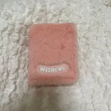 NCT WISH WISHFUL 트레이딩 카드 케이스