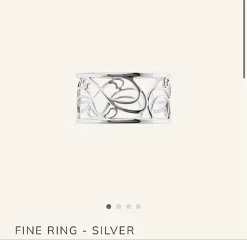 Pointless Journey Fine Ring - SILVER