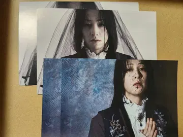 왕스테 장례 행렬의 왕 엽서 오타니 마코토