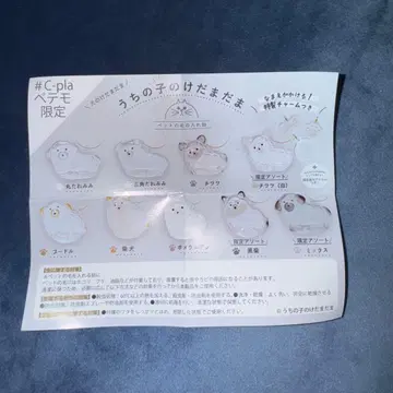 우리 아이 털뭉치 포메라니안 4개 세트