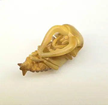 카이요도 캡슐Q 일본 사슴벌레 대전