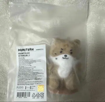 세븐틴 미니틴 마그넷 키링 찬다리