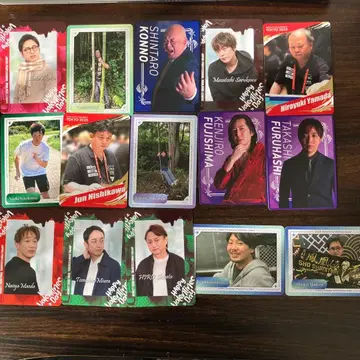 일본 프로 마작 연맹 트레이딩 카드 15장 세트