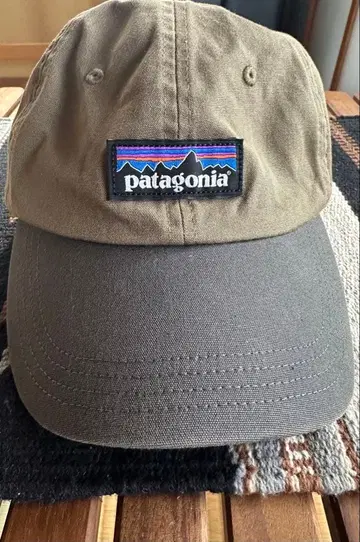 파타고니아 남성용 P-6 라벨 캡