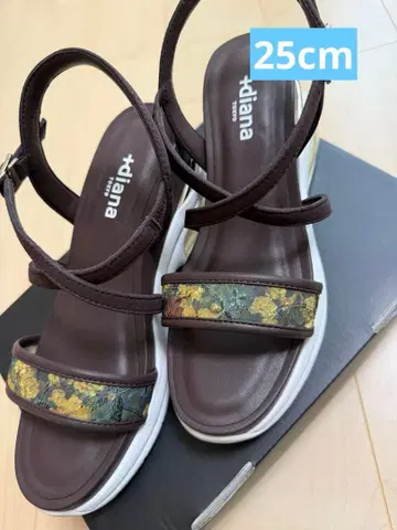 +diana 회화 아트 프린트 에어쿠션 스포츠 샌들 고흐 25cm