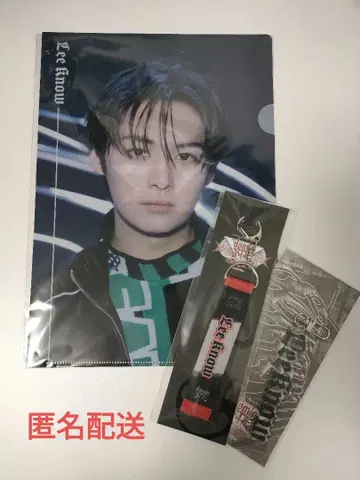 Stray Kids 스키즈 VR 리노 클리어 파일 키링