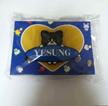 슈퍼쇼10 팬라이트 액세서리 예성