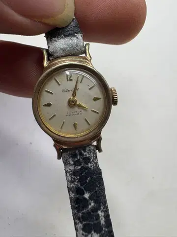 CITIZEN 시티즌 17 jewels