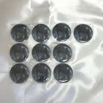 아키야마 미즈키 48c 그리캔 프로세카