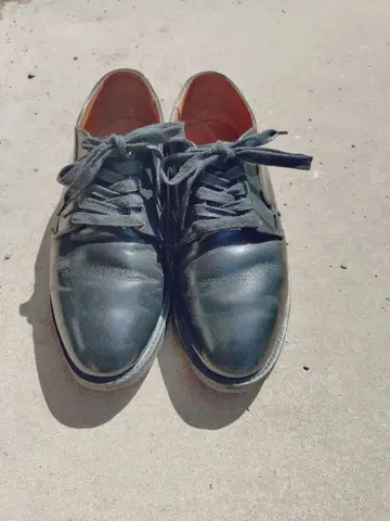 REDWING 레드윙 포스트맨 101 26cm