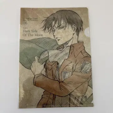 진격의 거인 리바이 엘빈 클리어 파일