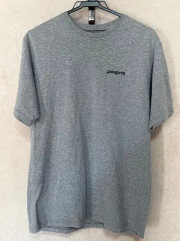 Patagonia 남성용 피츠로이 호라이즌즈 레스폰시빌리티 티셔츠