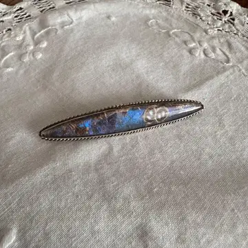 프랑스 앤티크 브로치 모르포 나비