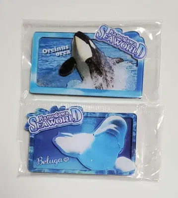 [새상품] 카모가와 씨 월드 범고래 벨루가 마그넷 컴플리트 세트