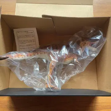 다이노테일즈 컬렉션 시리즈 1/20 소프트 비닐 티라노사우루스