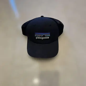 patagonia 메쉬 캡