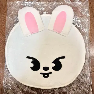 straykids 리노 부채 케이스