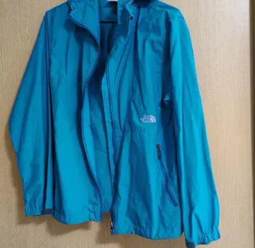 THE NORTH FACE 터콰이즈 마운틴 후드티