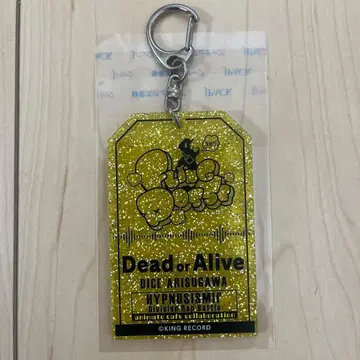 히프마이 아니카페 라메 키 아리스가와 다이토