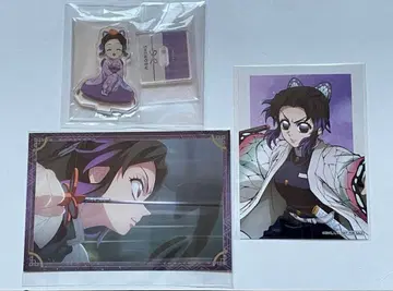 귀멸의 칼날 코쵸우 시노부 아크릴 스탠드 엽서 세트