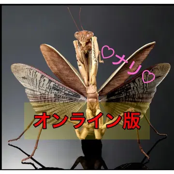 온라인판 오오카마키리 (갈색형) 생물대도감 어드밴스 곤충 생물