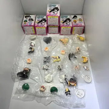 인피니트 스트라토스 2011 컬렉션 피규어 전 6종 컴프