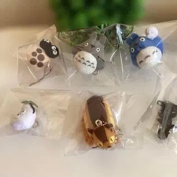 스튜디오 지브리 지브리 컬렉션 세트