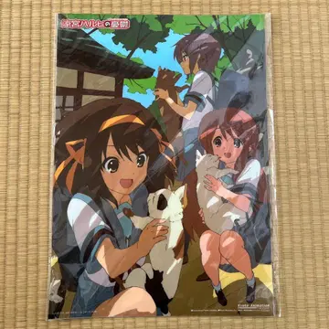 스즈미야 하루히 클리어 포스터 세트