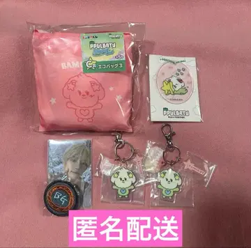 TXT 뿔바투 PPULBATU 애니마이 복권 범규 밤굿 트레이딩 카드