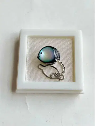 넥타이핀 열대어 물고기 검은 나비 조개 넥타이핀 핀즈 핀 핀 배지