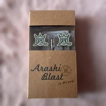 아라시 ARASHIBLAST 이어폰