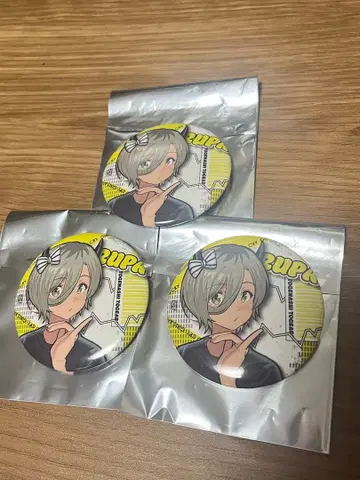 토게나시토게아리 박동의 미래 루파 캔뱃지 3개