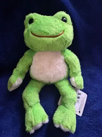 개구리 피클스 와카바