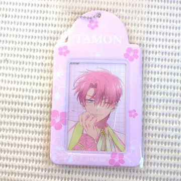 28 타몬 군 지금 어느 쪽 돈키 사진 홀더 후쿠하라 타몬