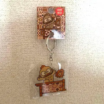 한교동 하코네 한정판