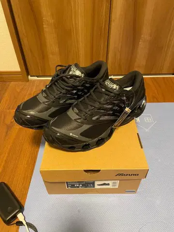 미즈노 WAVE PROPHECY LS GTX