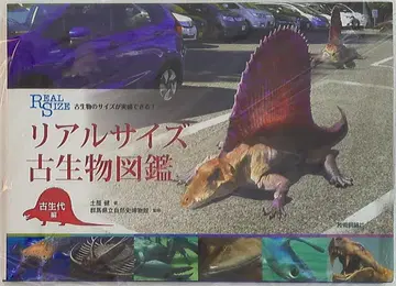 츠치야 켄 리얼 사이즈 고생물 도감 고생대 편