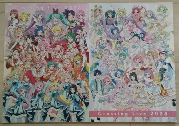 프리티 시리즈 Crossing Live 2024&2025 팜플렛
