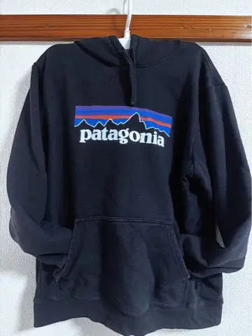 patagonia 후드 부착 후드티 L 사이즈