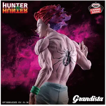 HUNTER x HUNTER 히소카 피규어