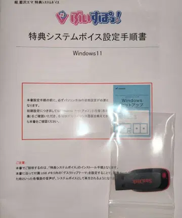 브이스포 시스템 보이스 아이자와 에마 / Aizawa Ema