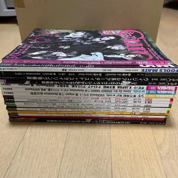 V계 비주얼계 잡지 묶음 판매