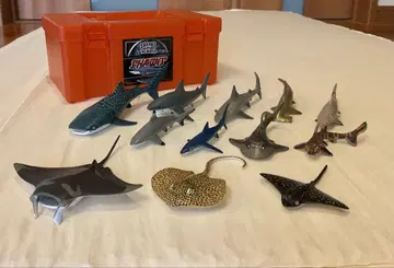 칼라라타 입체도감 상어의 동료 피규어 (12종)